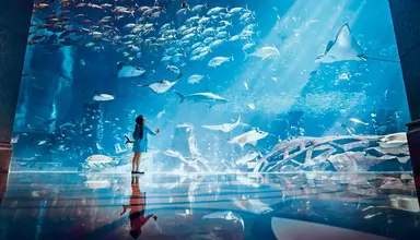 Atlantis The Palm
