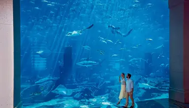 Atlantis The Palm