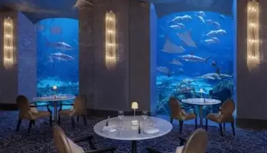 Atlantis The Palm