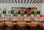 AVA Resort Cancun