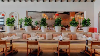 AVA Resort Cancun