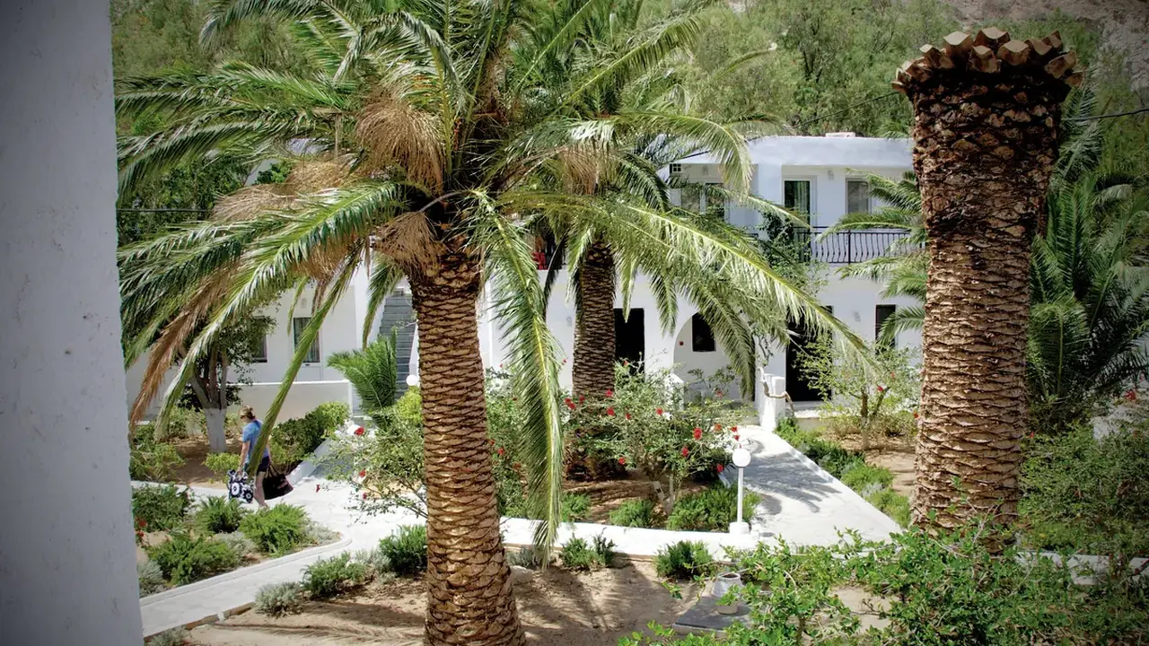 Avra Palm