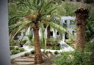 Avra Palm