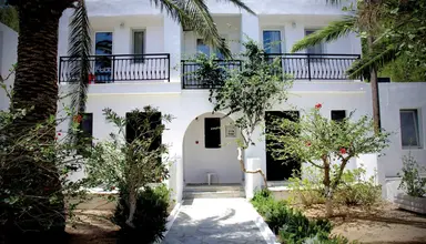 Avra Palm