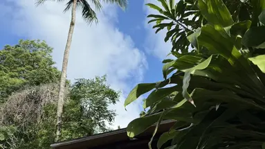 Baan Krating Khao Lak Resort
