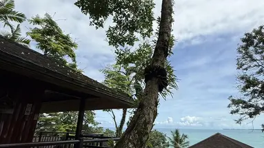 Baan Krating Khao Lak Resort