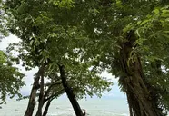 Baan Krating Khao Lak Resort