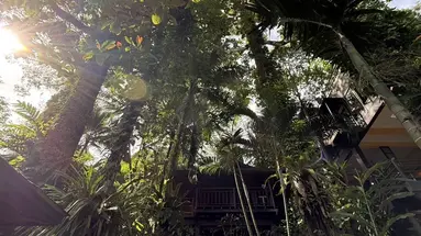 Baan Krating Khao Lak Resort