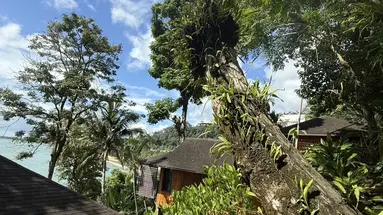 Baan Krating Khao Lak Resort