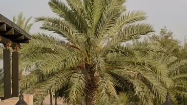 Bab Al Shams Desert