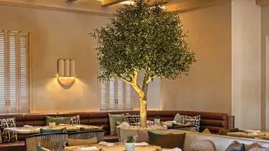 Bab Al Shams Desert