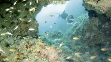 Bahari Beach