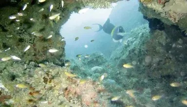 Bahari Beach