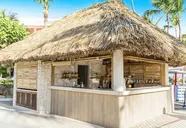 Bahia Principe Grand Punta Cana
