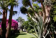 Bajondillo
