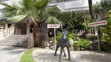 Bajondillo