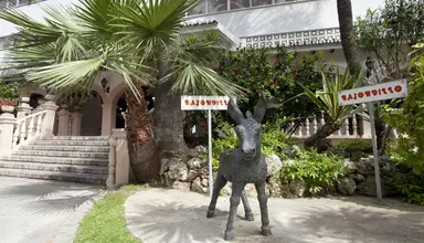 Bajondillo