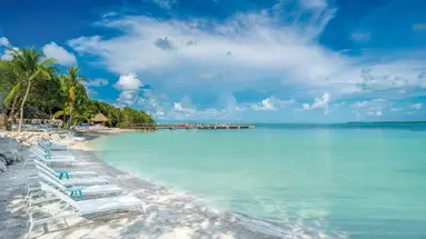 Baker's Cay Resort Key Largo