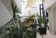 Baletna Skola