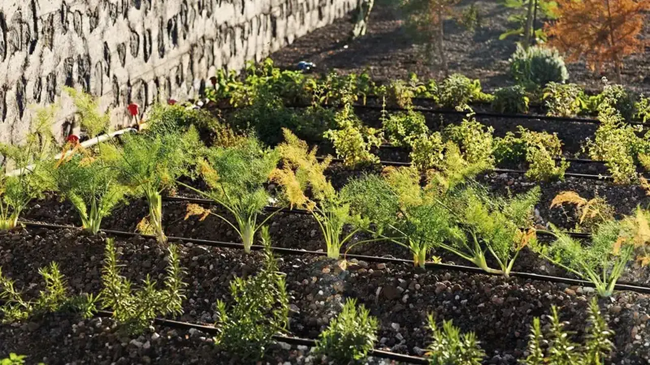 Bancal Hotel & Spa (La Gomera)