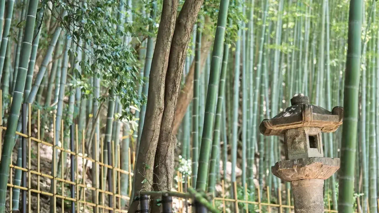 Banyan Tree Higashiyama Kyoto