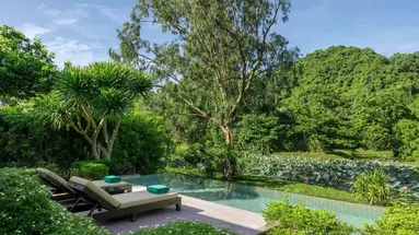 Banyan Tree (Lang Co)