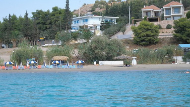 Barbouna