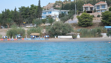 Barbouna