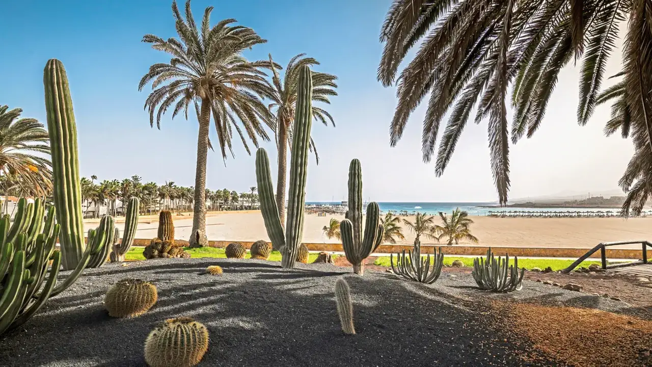 Barcelo Fuerteventura Royal Level