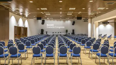 Barcelo Granada Congress