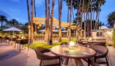 Barcelo Margaritas Royal Level