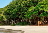 Barefoot at Havelock