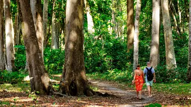 Barefoot at Havelock