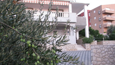 Bareta