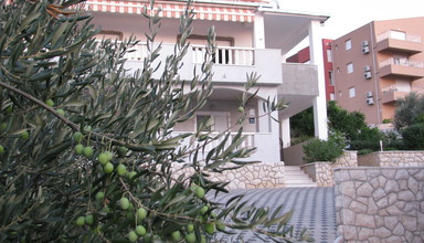 Bareta