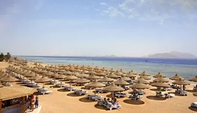 Baron Palms Resort