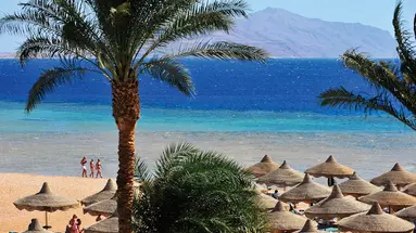 Baron Palms Resort