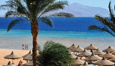 Baron Palms Resort