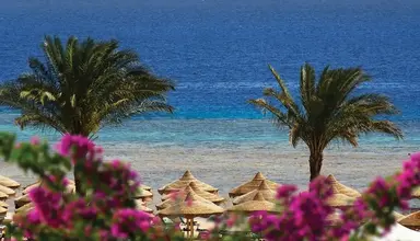 Baron Resort