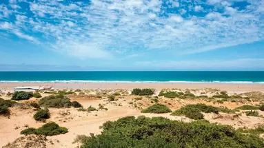 Barrosa Palace Wellness & Spa