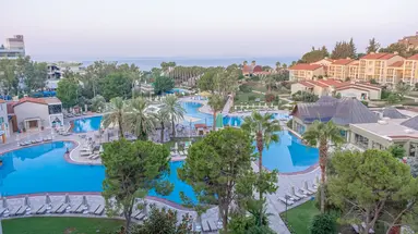 Barut Arum