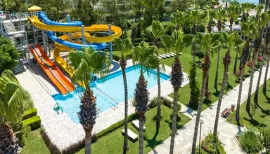 Barut Arum
