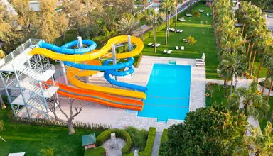 Barut Arum