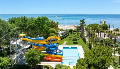Barut Arum