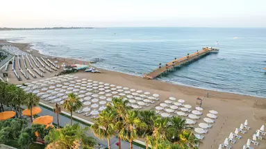 Barut Arum