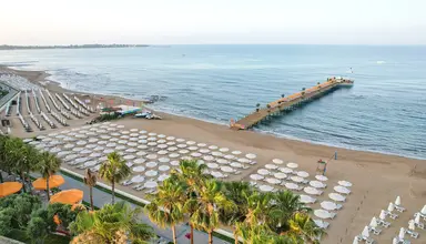 Barut Arum
