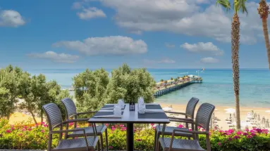Barut Arum