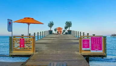 Barut Arum