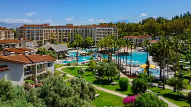 Barut Arum