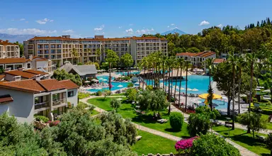 Barut Arum